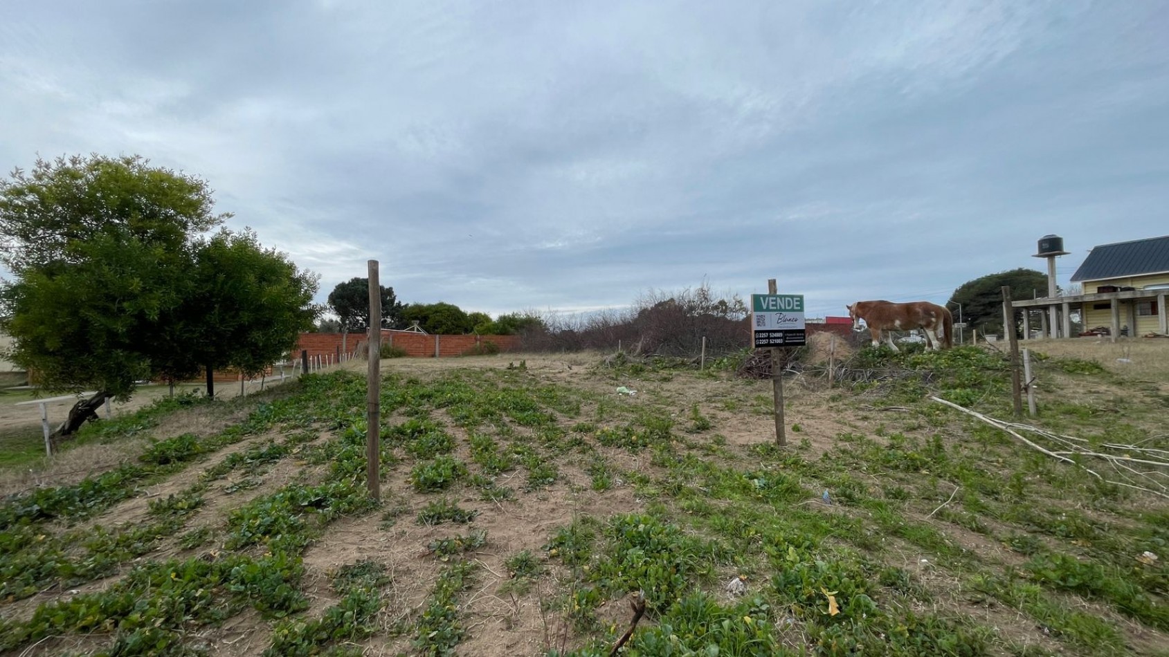 LOTE  EN NUEVA ATLANTIS