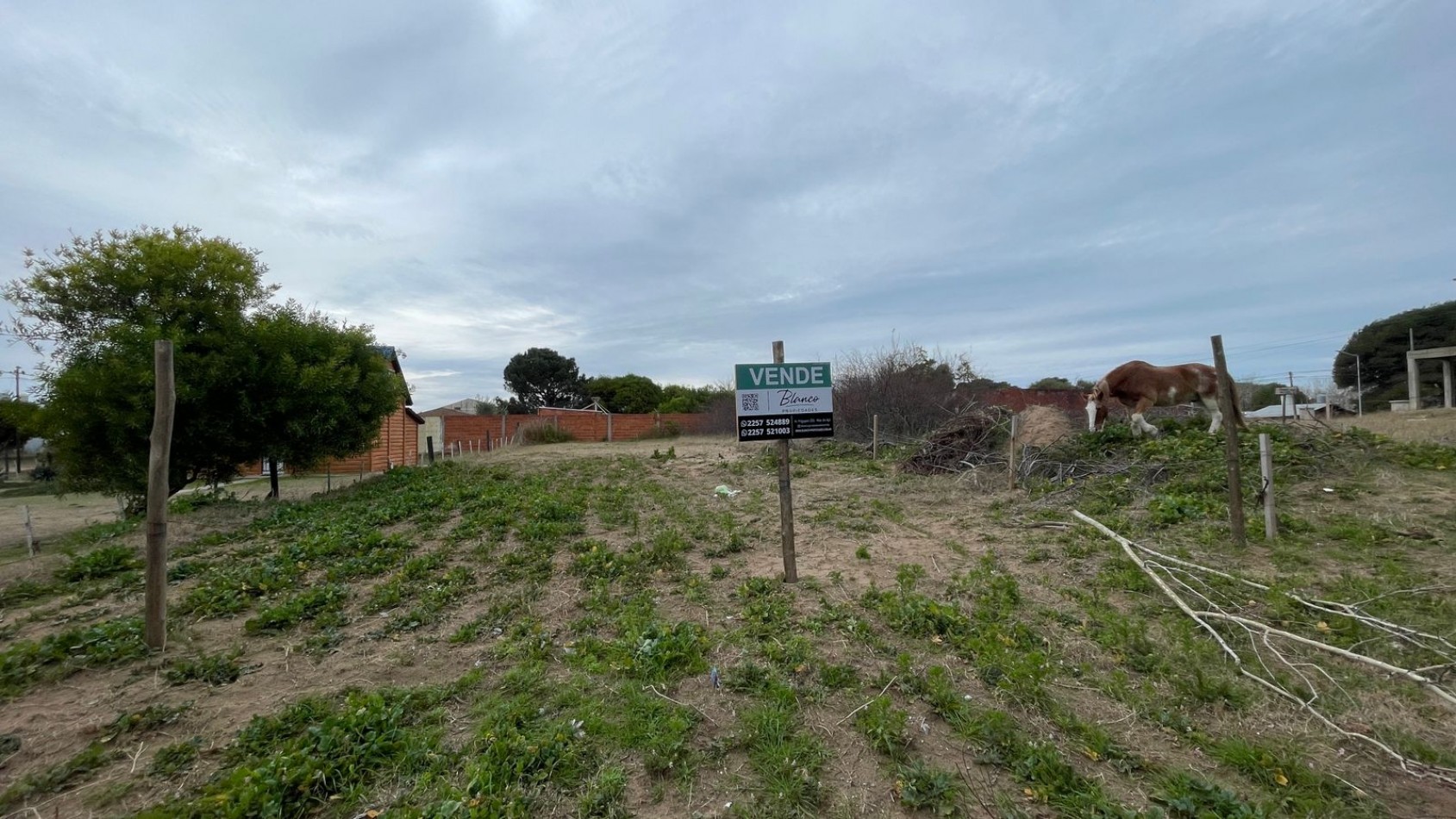 LOTE  EN NUEVA ATLANTIS