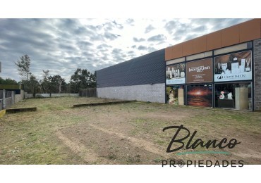 IMPORTANTE LOTE COMERCIAL SOBRE AV. LIBERTADOR