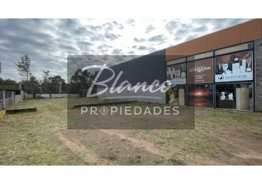 IMPORTANTE LOTE COMERCIAL SOBRE AV. LIBERTADOR